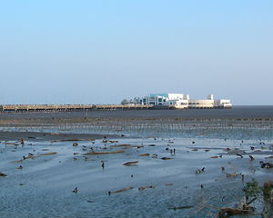 Bang Poo Pier