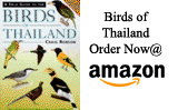 Birds of Thailand by Craig Robson