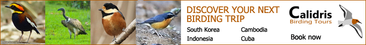 Birding Tours