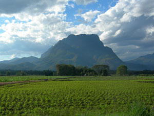 Doi Chiang Dao