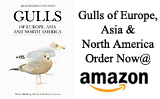 Gulls of Europe, Asia & North America by  Olsen & Larsson