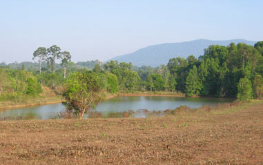 Khao Yai national park