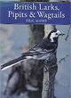 British Larks, Pipits and Wagtails