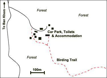 Mae Per Forest Trail