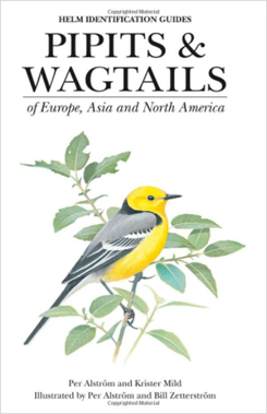 Pipits and Wagtails