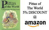 Pittas of the World by Jhannes Erritzoe