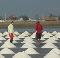 Salt Farms