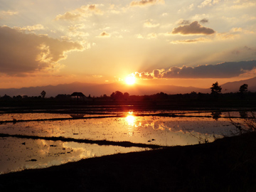 Thatorn sunset