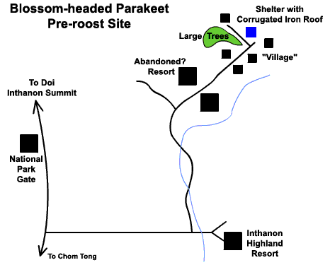Doi Inthanon Parakeet Roost Map