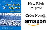How Birds Migrate