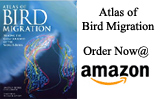 Atlas of Bird Migration